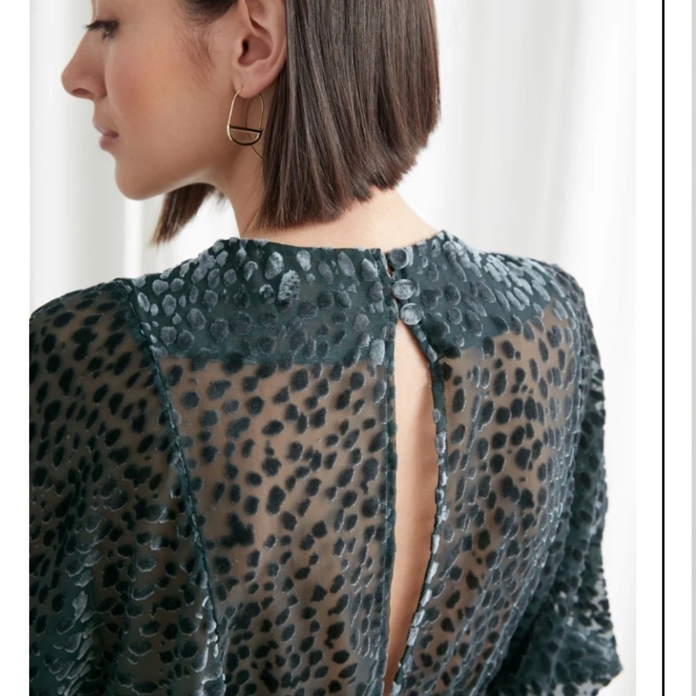 & OTHER STORIES Sheer Voluminous Sleeve Mini Dress - Picture 2 of 11